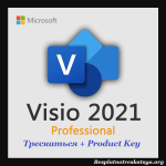 Microsoft Office Visio Professional 2021